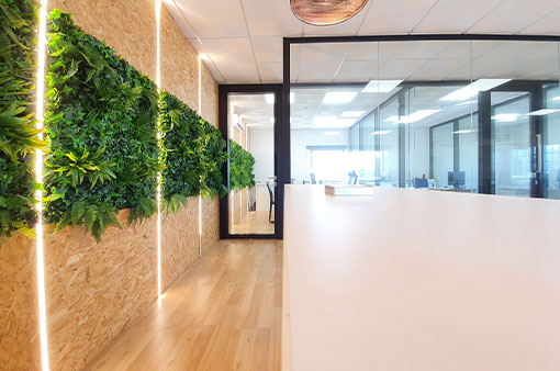 Halabi Law Office